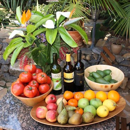 Cabana Ecologica لا أوروتافا المظهر الخارجي الصورة
